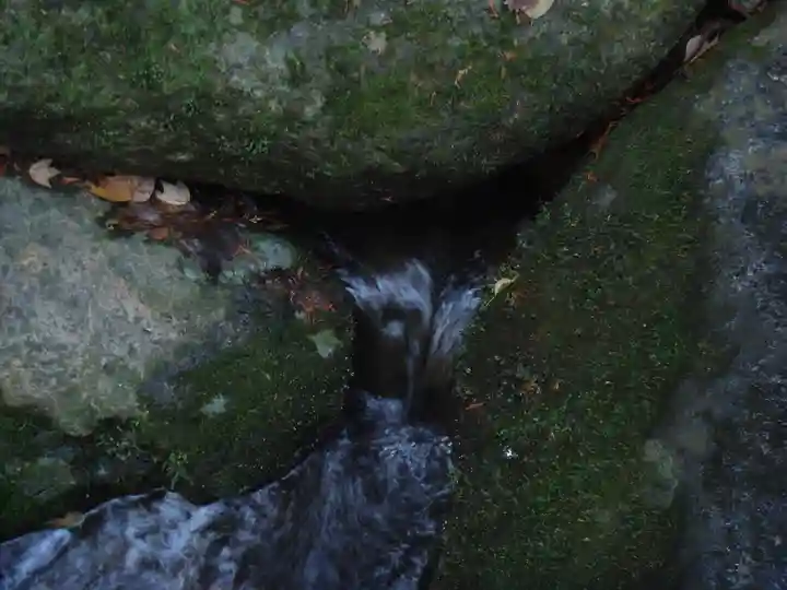 成田山新勝寺の自然