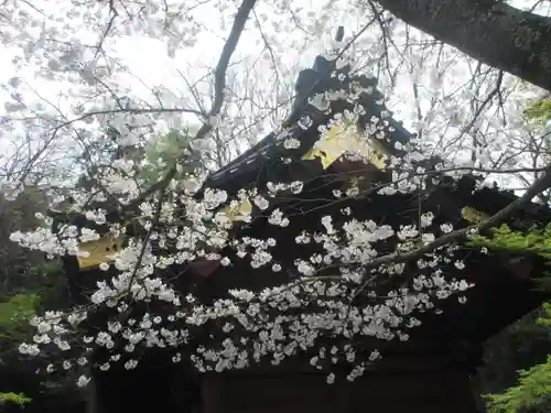 妙本寺のその他建物