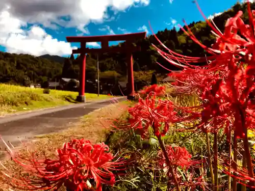 花尾神社の鳥居