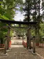 安房神社の鳥居