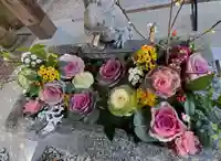 滑川神社 - 仕事と子どもの守り神の手水舎