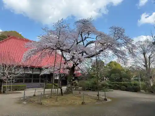 金光院(千葉県)