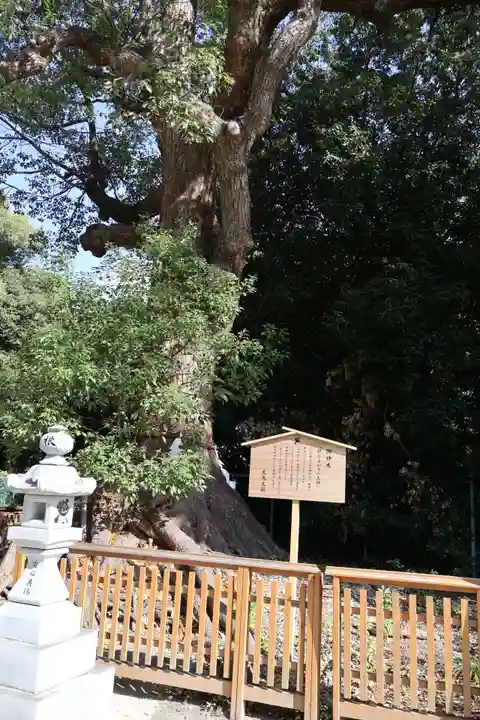 和泉國一之宮 大鳥大社(大阪府)