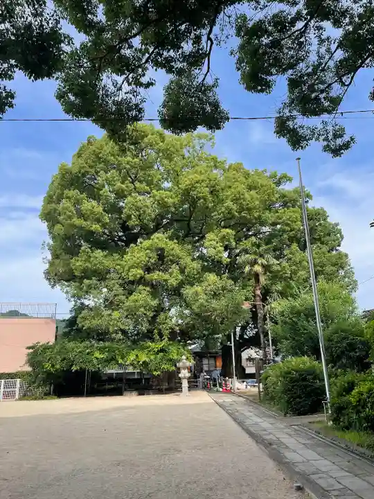 山王神社の自然