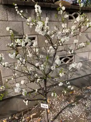 木場 洲﨑神社(東京都)