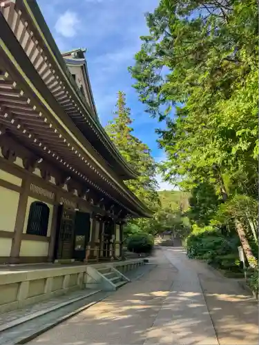 円覚寺(神奈川県)