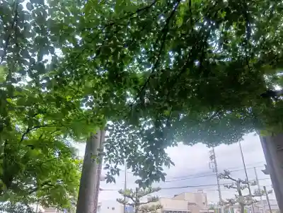 春日神社の{uncategorized: "未分類", other: "その他", undefined: "問題あり", building: "その他建物", grave: "お墓", sacred_gate: "鳥居", guardian: "狛犬", statue: "像", buddha: "仏像", history: "歴史", nature: "自然", garden: "庭園", animal: "動物", pagoda: "塔", temizu: "手水舎", mountain_gate: "山門・神門", sanctuary: "本殿・本堂", subordinate: "末社・摂社", art: "芸術", scenery: "景色", jizo: "地蔵", ema: "絵馬", goshuin: "御朱印", omikuji: "おみくじ", items: "授与品その他", amulet: "お守り", goshuincho: "御朱印帳", eats: "食事", festival: "お祭り", votive_dance: "神楽", shichigosan: "七五三参", wedding: "結婚式", experience: "体験その他", initially: "初詣", around: "周辺", anti_infection: "感染症対策"}