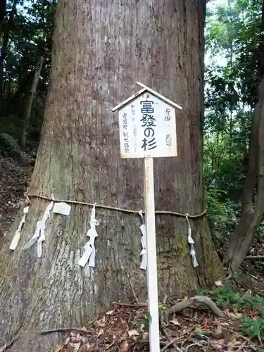 姥宮神社のその他建物
