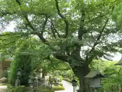 密藏院(埼玉県)