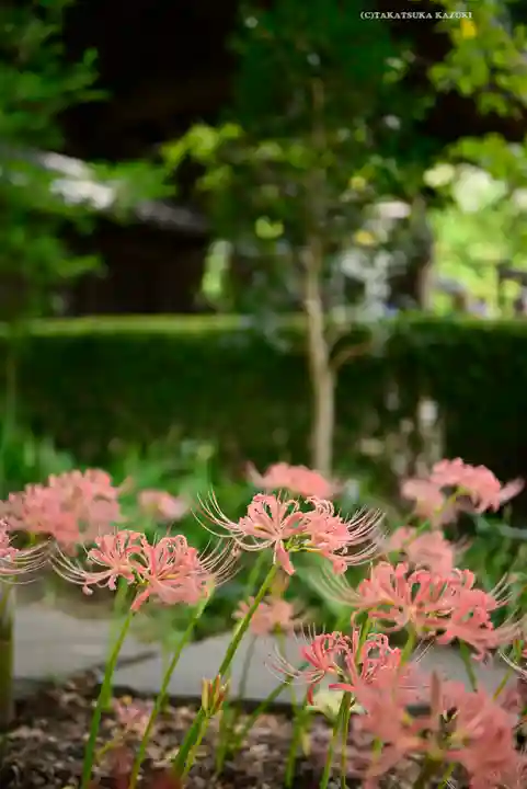 横浜 西方寺(神奈川県)