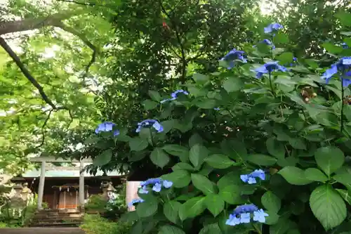 愛宕神社の景色