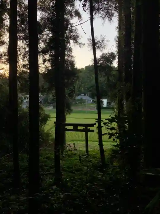 浅間神社(千葉県)