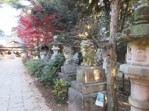 大宝八幡宮の狛犬