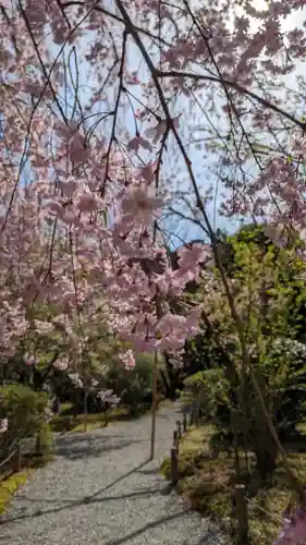 龍安寺(京都府)