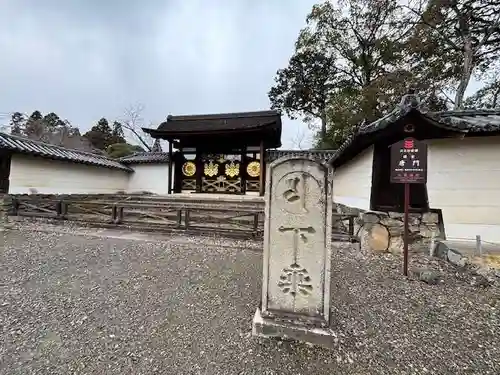 醍醐寺(京都府)