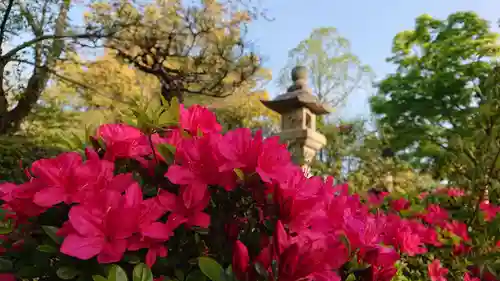 壺井八幡宮の自然