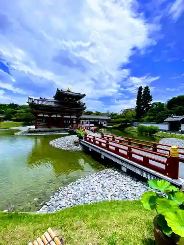 平等院の景色