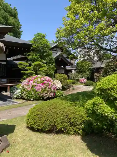大昌寺(東京都)