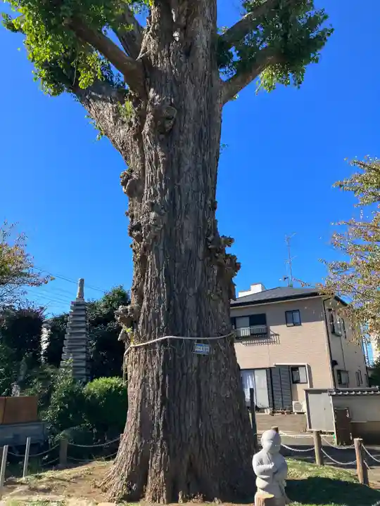 泉福寺(神奈川県)
