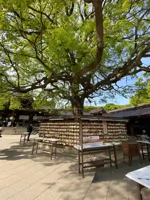 明治神宮(東京都)