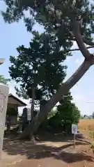 飯玉神社の自然