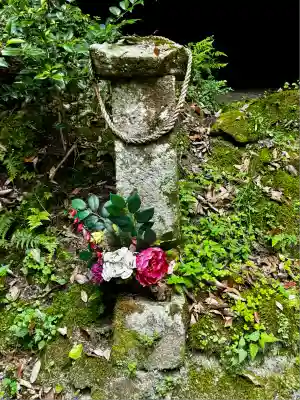 溝ノ口洞穴(鹿児島県)