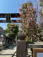 橘樹神社(神奈川県)