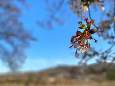 白鳥神社(長野県)