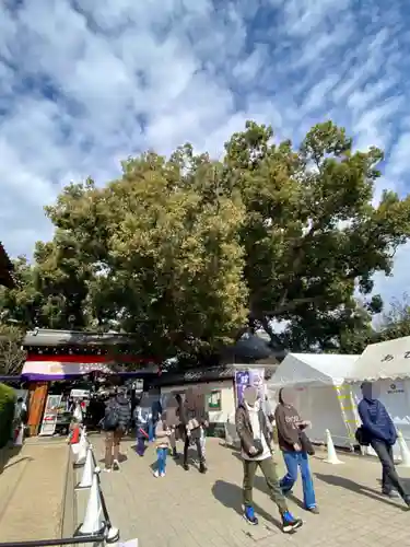 大聖観音寺（あびこ観音）(大阪府)