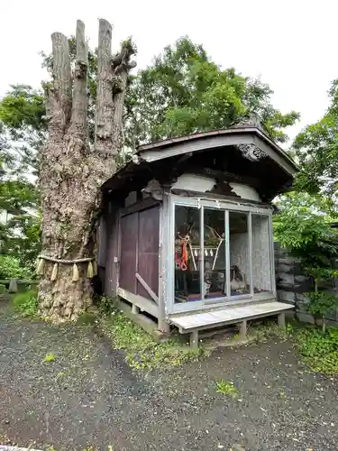 蛭子神社のお祭り