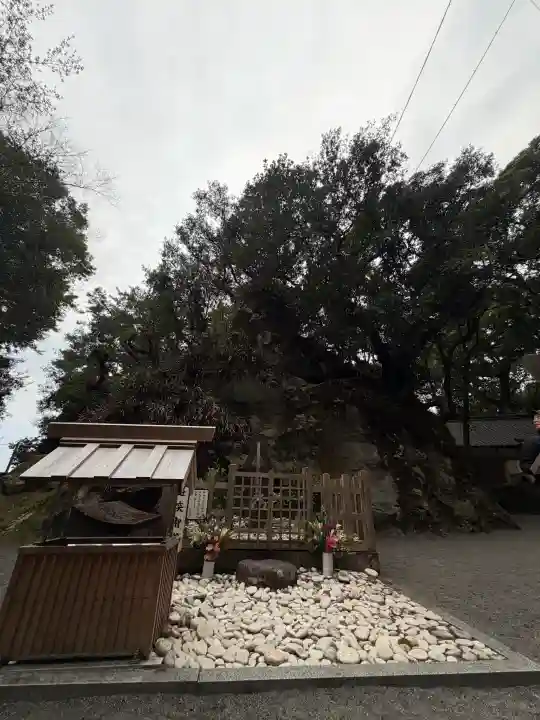 花窟神社の{uncategorized: "未分類", other: "その他", undefined: "問題あり", building: "その他建物", grave: "お墓", sacred_gate: "鳥居", guardian: "狛犬", statue: "像", buddha: "仏像", history: "歴史", nature: "自然", garden: "庭園", animal: "動物", pagoda: "塔", temizu: "手水舎", mountain_gate: "山門・神門", sanctuary: "本殿・本堂", subordinate: "末社・摂社", art: "芸術", scenery: "景色", jizo: "地蔵", ema: "絵馬", goshuin: "御朱印", omikuji: "おみくじ", items: "授与品その他", amulet: "お守り", goshuincho: "御朱印帳", eats: "食事", festival: "お祭り", votive_dance: "神楽", shichigosan: "七五三参", wedding: "結婚式", experience: "体験その他", initially: "初詣", around: "周辺", anti_infection: "感染症対策"}
