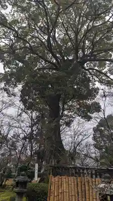 十輪寺(京都府)