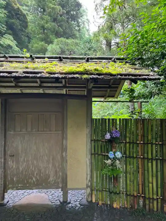 明月院(神奈川県)