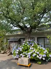 廣田神社～病厄除守護神～(青森県)