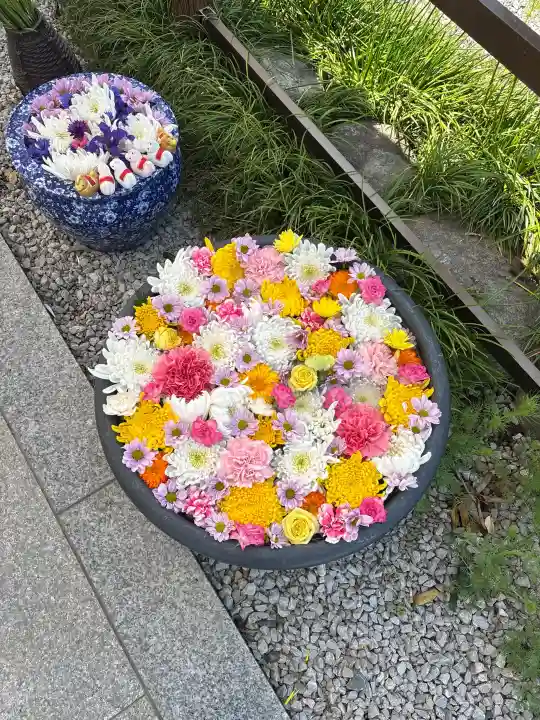 埼玉厄除け開運大師・龍泉寺(切り絵御朱印発祥の寺)の{uncategorized: "未分類", other: "その他", undefined: "問題あり", building: "その他建物", grave: "お墓", sacred_gate: "鳥居", guardian: "狛犬", statue: "像", buddha: "仏像", history: "歴史", nature: "自然", garden: "庭園", animal: "動物", pagoda: "塔", temizu: "手水舎", mountain_gate: "山門・神門", sanctuary: "本殿・本堂", subordinate: "末社・摂社", art: "芸術", scenery: "景色", jizo: "地蔵", ema: "絵馬", goshuin: "御朱印", omikuji: "おみくじ", items: "授与品その他", amulet: "お守り", goshuincho: "御朱印帳", eats: "食事", festival: "お祭り", votive_dance: "神楽", shichigosan: "七五三参", wedding: "結婚式", experience: "体験その他", initially: "初詣", around: "周辺", anti_infection: "感染症対策"}