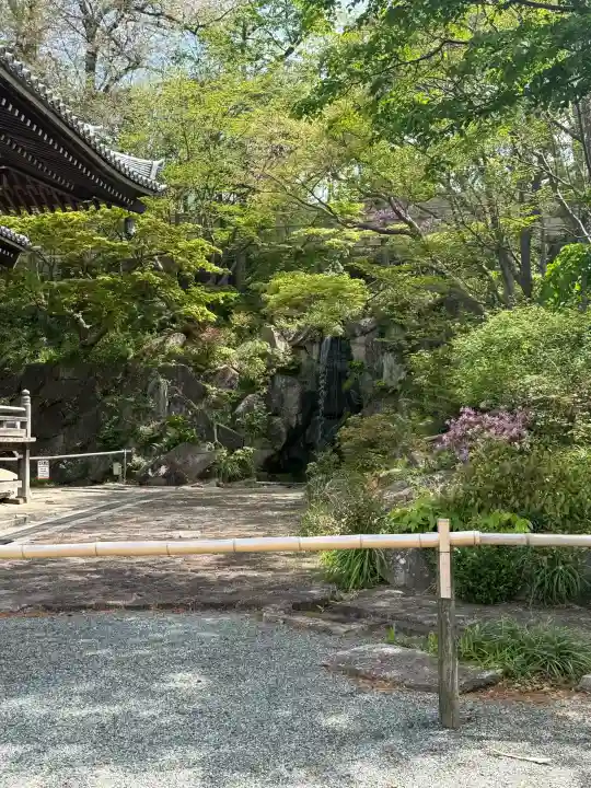妙蓮寺の{uncategorized: "未分類", other: "その他", undefined: "問題あり", building: "その他建物", grave: "お墓", sacred_gate: "鳥居", guardian: "狛犬", statue: "像", buddha: "仏像", history: "歴史", nature: "自然", garden: "庭園", animal: "動物", pagoda: "塔", temizu: "手水舎", mountain_gate: "山門・神門", sanctuary: "本殿・本堂", subordinate: "末社・摂社", art: "芸術", scenery: "景色", jizo: "地蔵", ema: "絵馬", goshuin: "御朱印", omikuji: "おみくじ", items: "授与品その他", amulet: "お守り", goshuincho: "御朱印帳", eats: "食事", festival: "お祭り", votive_dance: "神楽", shichigosan: "七五三参", wedding: "結婚式", experience: "体験その他", initially: "初詣", around: "周辺", anti_infection: "感染症対策"}