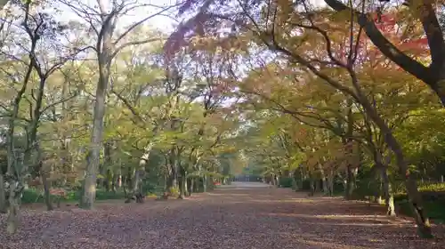 賀茂御祖神社（下鴨神社）の自然