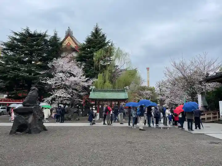 浅草神社(東京都)