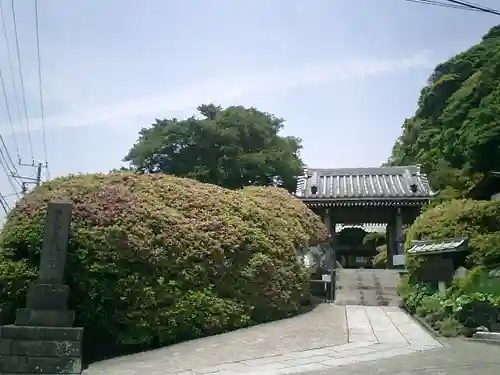 安養院　(田代寺）の山門