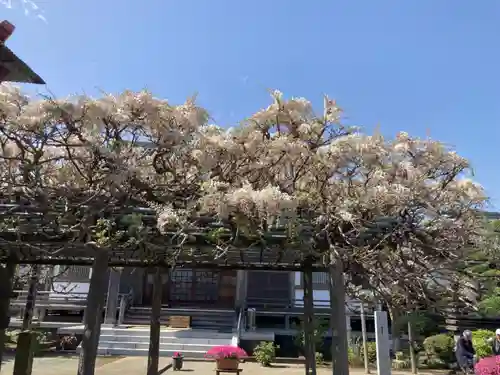 等覚院（藤巻寺）(神奈川県)
