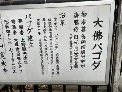 上野大佛(東京都)