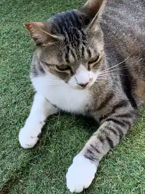 王子神社(徳島県)
