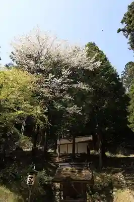 日吉大社(滋賀県)