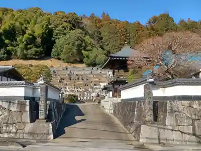 瀧泉寺の{uncategorized: "未分類", other: "その他", undefined: "問題あり", building: "その他建物", grave: "お墓", sacred_gate: "鳥居", guardian: "狛犬", statue: "像", buddha: "仏像", history: "歴史", nature: "自然", garden: "庭園", animal: "動物", pagoda: "塔", temizu: "手水舎", mountain_gate: "山門・神門", sanctuary: "本殿・本堂", subordinate: "末社・摂社", art: "芸術", scenery: "景色", jizo: "地蔵", ema: "絵馬", goshuin: "御朱印", omikuji: "おみくじ", items: "授与品その他", amulet: "お守り", goshuincho: "御朱印帳", eats: "食事", festival: "お祭り", votive_dance: "神楽", shichigosan: "七五三参", wedding: "結婚式", experience: "体験その他", initially: "初詣", around: "周辺", anti_infection: "感染症対策"}