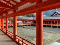 厳島神社の{uncategorized: "未分類", other: "その他", undefined: "問題あり", building: "その他建物", grave: "お墓", sacred_gate: "鳥居", guardian: "狛犬", statue: "像", buddha: "仏像", history: "歴史", nature: "自然", garden: "庭園", animal: "動物", pagoda: "塔", temizu: "手水舎", mountain_gate: "山門・神門", sanctuary: "本殿・本堂", subordinate: "末社・摂社", art: "芸術", scenery: "景色", jizo: "地蔵", ema: "絵馬", goshuin: "御朱印", omikuji: "おみくじ", items: "授与品その他", amulet: "お守り", goshuincho: "御朱印帳", eats: "食事", festival: "お祭り", votive_dance: "神楽", shichigosan: "七五三参", wedding: "結婚式", experience: "体験その他", initially: "初詣", around: "周辺", anti_infection: "感染症対策"}