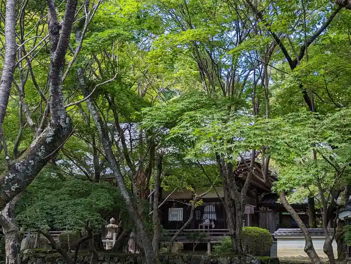 勝持寺(花の寺)(京都府)