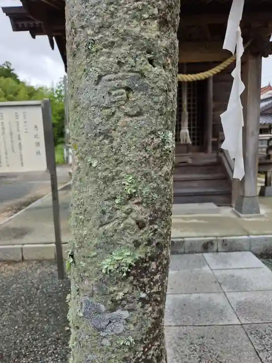 出雲大社山口分院(山口県)
