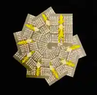 常真寺の御朱印