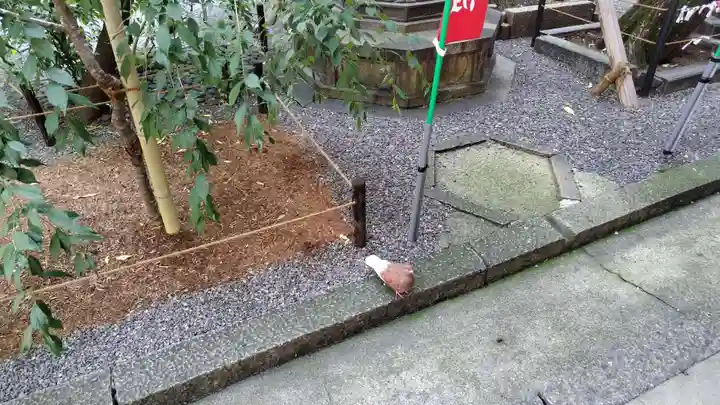 頂法寺(六角堂)のその他建物