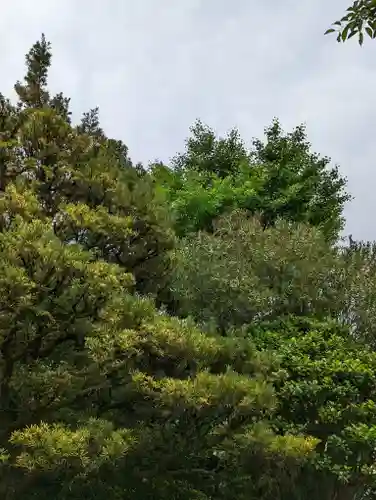 木食寺安祥院の自然